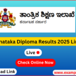 BTELinx Diploma Results 2025 Download